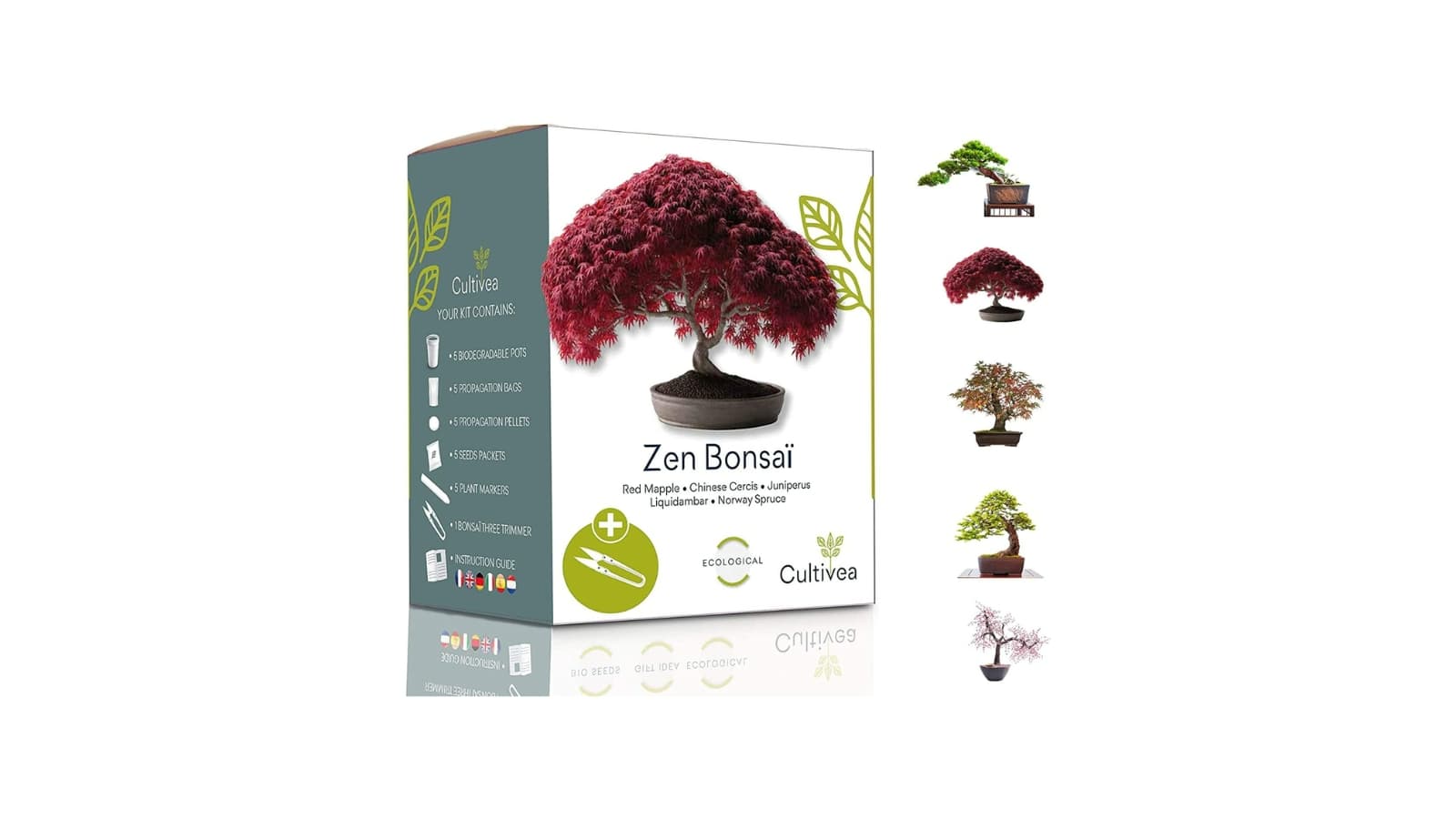 Idée cadeau maitresse - Mini jardin