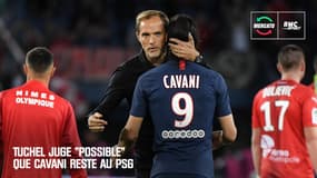 Mercato : Tuchel juge "possible" que Cavani reste au PSG