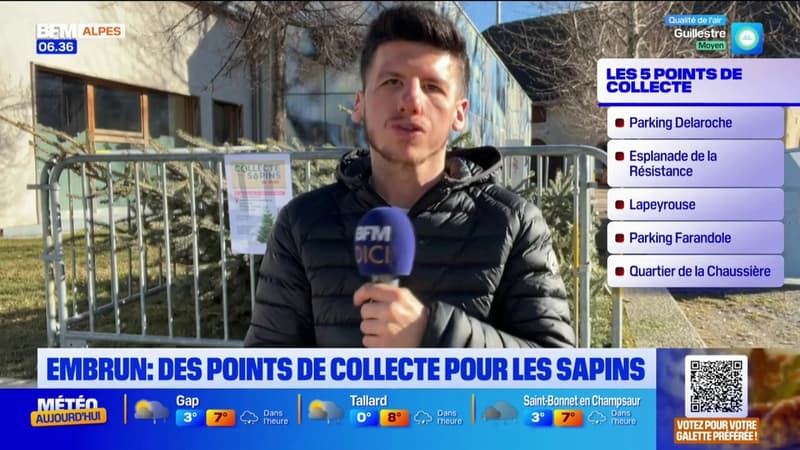 Embrun: cinq points de collecte pour se débarrasser de son sapin