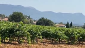 Face à la sécheresse, des restrictions d'eau sont en vigueur dans le Var (Illustration)
