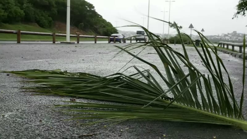 Le cyclone Cook frappe la Nouvelle-Calédonie.