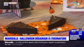 Marseille: Halloween débarque à l'Ekonature