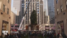À New York, le sapin de Noël du Rockefeller Center est arrivé