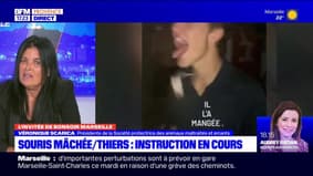 Souris mâchée lors d'une soirée d'intégration à Marseille: un procès aura lieu 