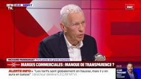 Inflation: "Il y a une augmentation de la part de marché des marques de distributeurs en France", affirme Richard Panquiault, porte-parole des grands industriels