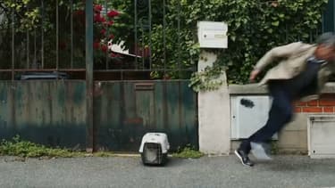 Extrait de la dernière vidéo de campagne de la Fondation 30 millions d'amis.