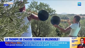 Alpes-de-Haute-Provence: la trompe de chasse sonne à Valensole