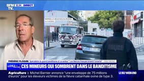 "La violence est complètement débridée"assure Frédéric Ploquin, spécialiste du banditisme de marque