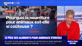 Pourquoi la nourriture pour animaux est-elle si coûteuse ? BFMTV répond à vos questions