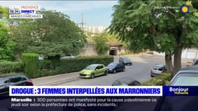 Marseille: trois femmes interpellées pour trafic de stupéfiants aux Marronniers 