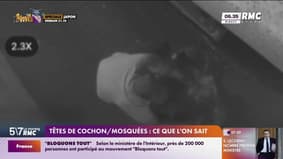 Têtes de cochons déposées devant des mosquées en région parisienne