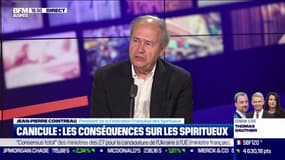 Canicule, sécheresse…quel impact pour le secteur des spiritueux ?