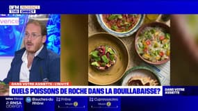 Dans votre assiette du jeudi 25 janvier - Quels poissons de roche dans la bouillabaisse ?