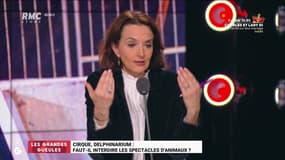 Cirque, Delphinarium : faut-il interdire les spectacles d'animaux ? - 29/09