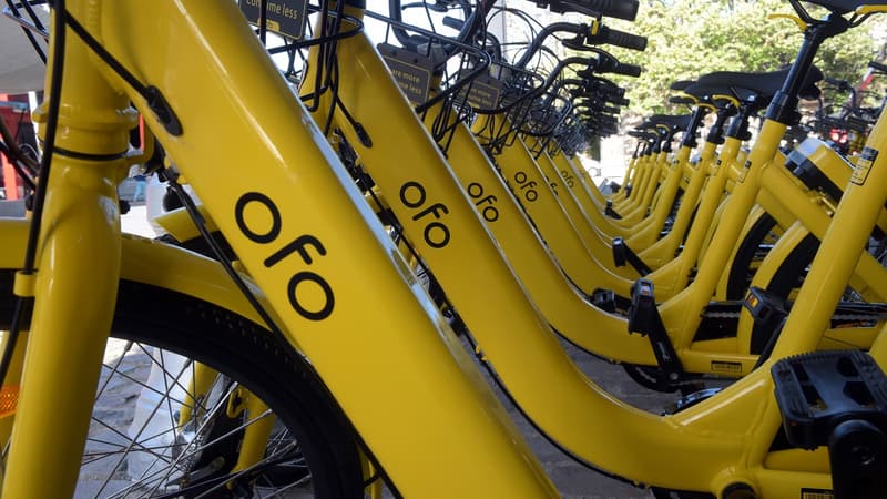 Des vélos Ofo déployés près des stations de tramway