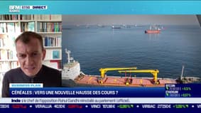 Sébastien Abis (Club Demeter) : Céréales, vers une nouvelle hausse des cours ? - 07/08