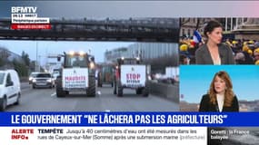 Crise agricole: "On ne s'est pas réveillé hier pour commencer à agir", déclare Maud Bregeon, porte-parole du gouvernement