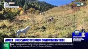 Alpes-de-Haute-Provence: une cagnotte lancée après la mort de Simon Merveille, agriculteur à Auzet