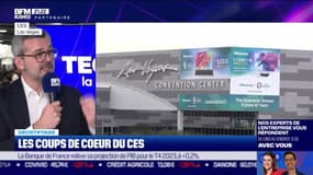 Julien Villeret (EDF) : Les coups de cœur du CES - 11/01