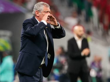 Fernando SANTOS
