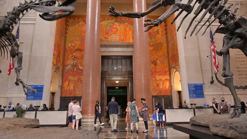 Une salle du musée d'histoire naturelle de New York aux États-Unis, le 9 septembre 2020