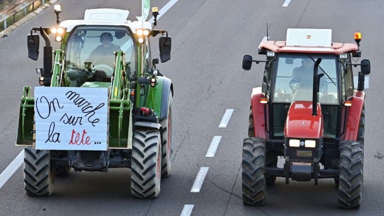 Tracteurs de l'année 2024, les résultats sont - Le Bulletin des  agriculteurs