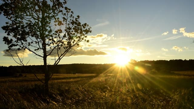 Vue de la campagne française