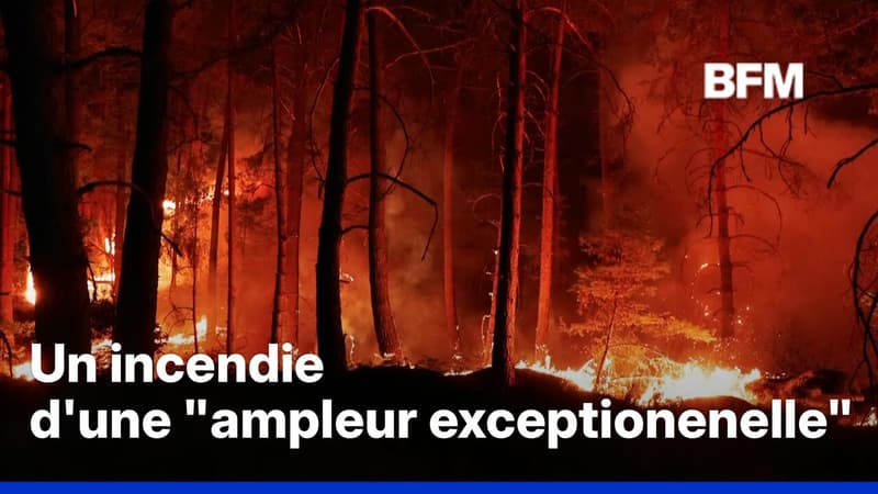 Les images impressionnantes de l'incendie dans la forêt de Fontainebleau