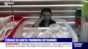 Quand la photo de Greta Thunberg sert à culpabiliser les consommateurs de plastique