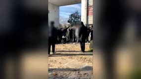 Les images du clip de rap tourné à Rillieux-la-Pape avant de dégénérer en incendie le 8 novembre 2025.