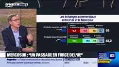 Dominique Chargé (La Coopération Agricole) : Les agriculteurs dans la rue le 26 septembre - 24/09