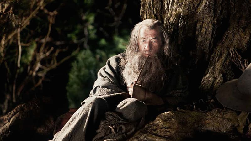 Ian McKellen en Gandalf dans "Le Seigneur des anneaux"