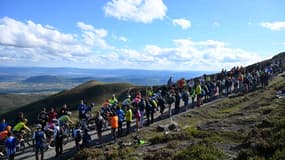Le peloton de la Vuelta entre Villarcayo et le Picon Blanco, le 7 septembre 2024
