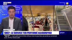 Provence-Alpes-Côte-d'Azur: la circulation des TER de nouveau perturbée