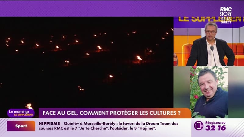Face au gel, comment protéger les cultures ?