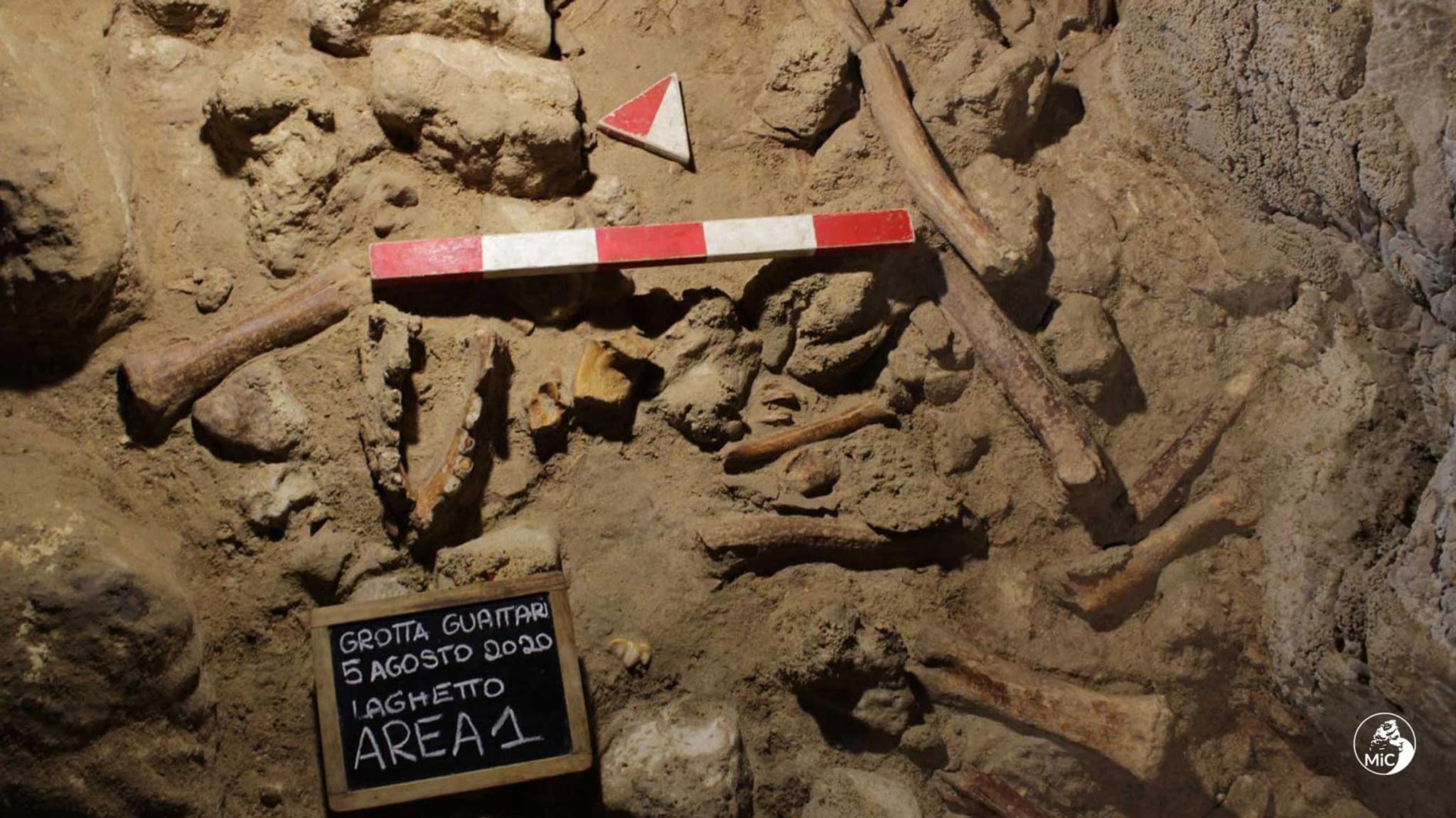 Les restes de neuf Néandertaliens ont été découverts dans la Grotte de Guattari, en Italie, en mai 2021 Les restes de neuf Néandertaliens ont été découverts dans la Grotte de Guattari, en Italie, en mai 2021