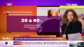 Une carte bleue obligatoire pour regarder du porno? 