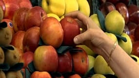 Selon Greenpeace, les pommes des supermarchés sont pleines de pesticides.