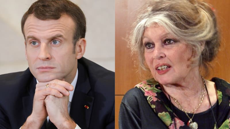 Emmanuel Macron et Brigitte Bardot
