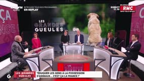 Eduquer les gens à la possession d'animaux... C'est ça la France ! - 10/01