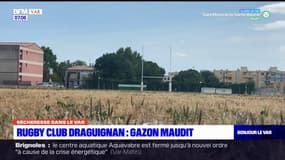 La pelouse du RC Draguignan fortement touchée par la sécheresse