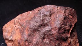 Une météorite de type chondrite ordinaire, comme celle qui a été découverte jeudi.