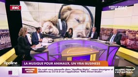L'histoire de Charles Magnien : La musique pour animaux, un vrai business - 06/07