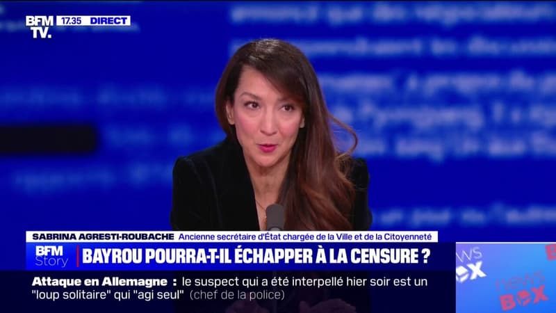 Sabrina Agresti-Roubache, ex-secrétaire d'État: 