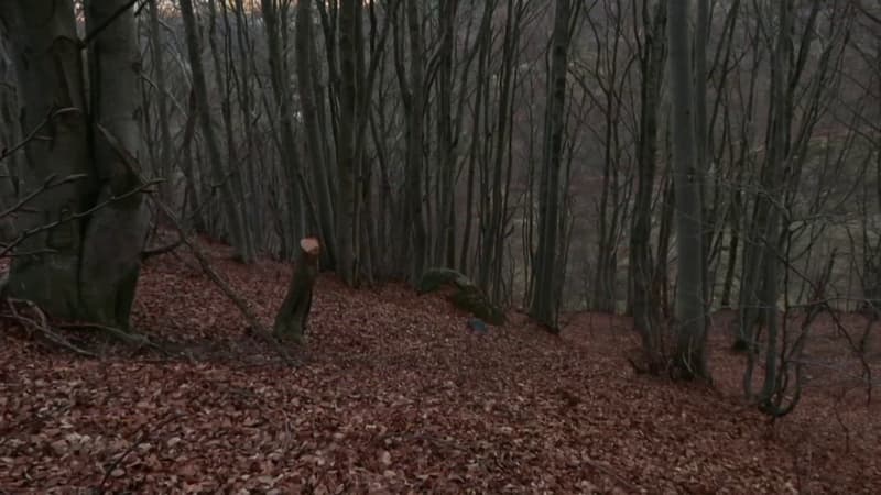 Miraculé, un homme grièvement blessé survit cinq jours au fond d'un ravin après un accident de voiture en Ardèche