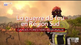 La guerre du feu en Région Sud : gardes forestiers régionaux