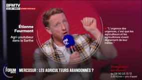 FORUM BFM- Colère agricole: "Ce n'est pas parce que le Mercosur n'est pas signé que l'agriculture va bien", déclare Étienne, agri-youtubeur dans la Sarthe
