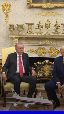 Donald Trump affirme que Recep Tayyip Erdogan s'y connaît "mieux que personne" en "élections truquées"