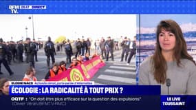 Élodie Nace (Alterniba): "On se pose plus de questions sur les modes d'action que sur les responsables de l'inaction climatique"