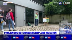 Strasbourg: l'ancien zoo de l'orangerie en pleine transformation 